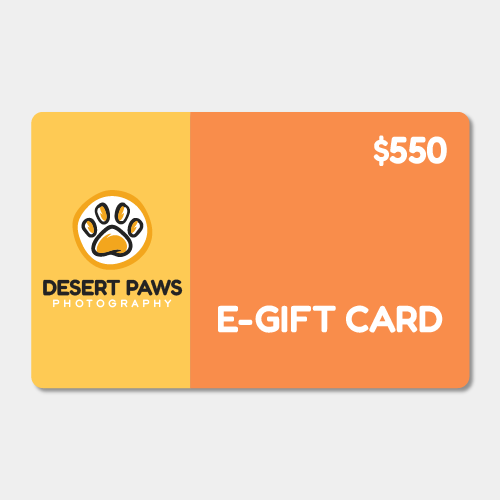 Gift Certificate - Signature Package